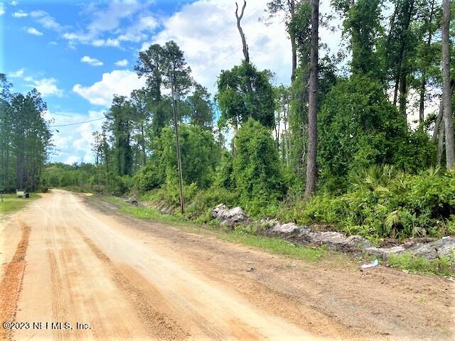 110 Mallard Road Satsuma, FL 32189 - Photo 3 of 8 a view of a yard with plants and trees