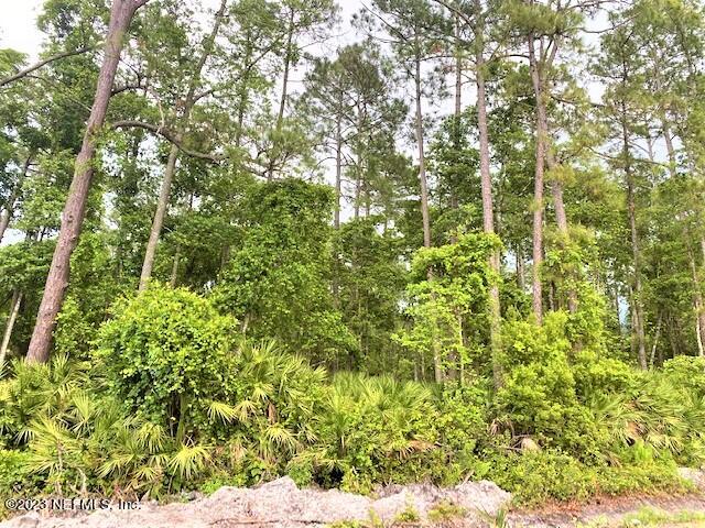 110 Mallard Road Satsuma, FL 32189 - Photo 5 of 8 a view of a yard of the house
