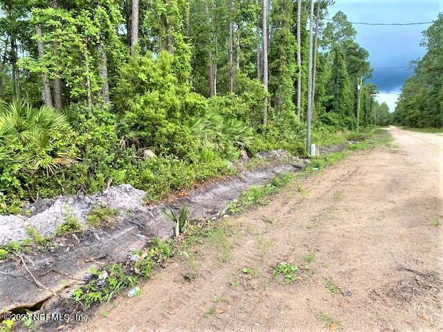 110 Mallard Road Satsuma, FL 32189 - Photo 6 of 8 a view of a garden with plants