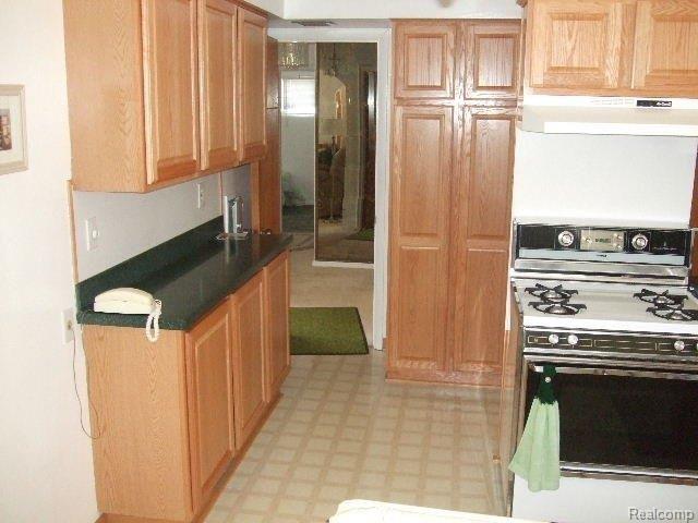 9026 Ruth Avenue Allen Park, MI 48101 - Photo 14 of 24 MORE CABINETS