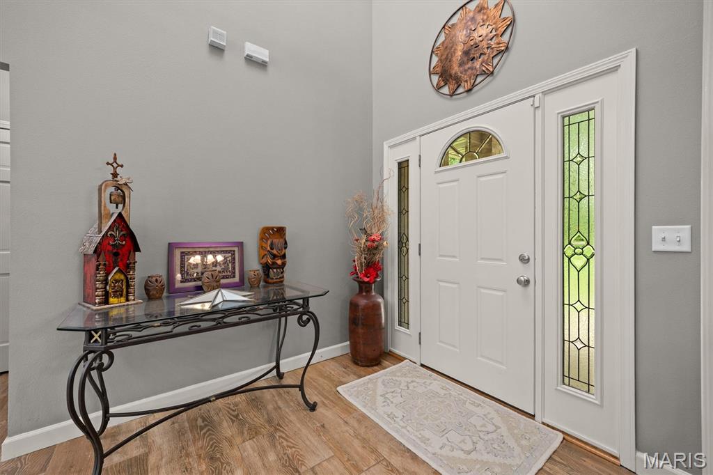 694 Pleasant Ridge Road Fairview Heights, IL 62208 - Photo 4 of 59