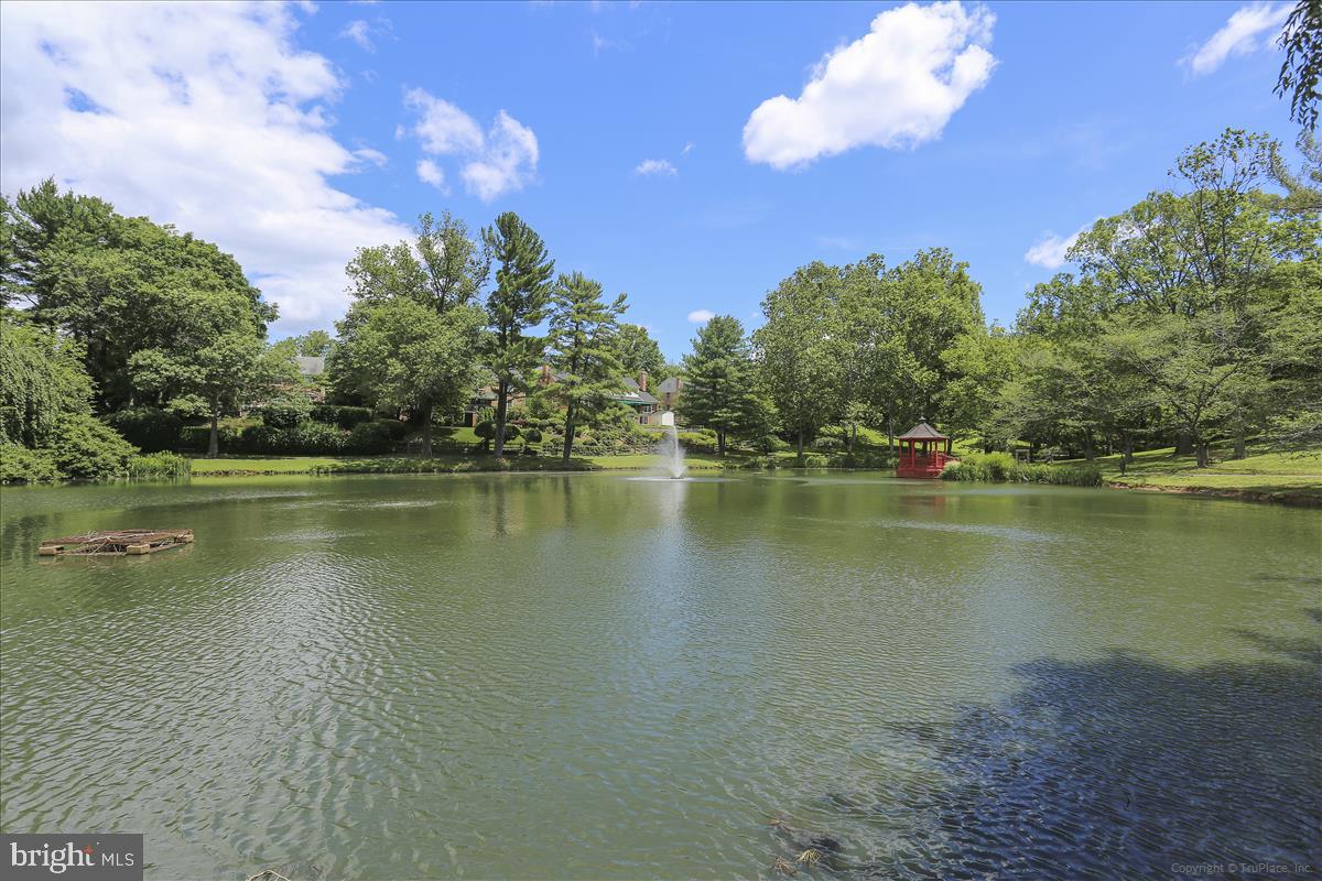8716 Cold Spring Road Potomac, MD 20854 - Photo 60 of 64