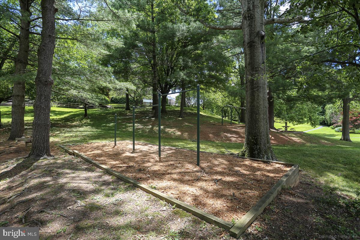 8716 Cold Spring Road Potomac, MD 20854 - Photo 62 of 64