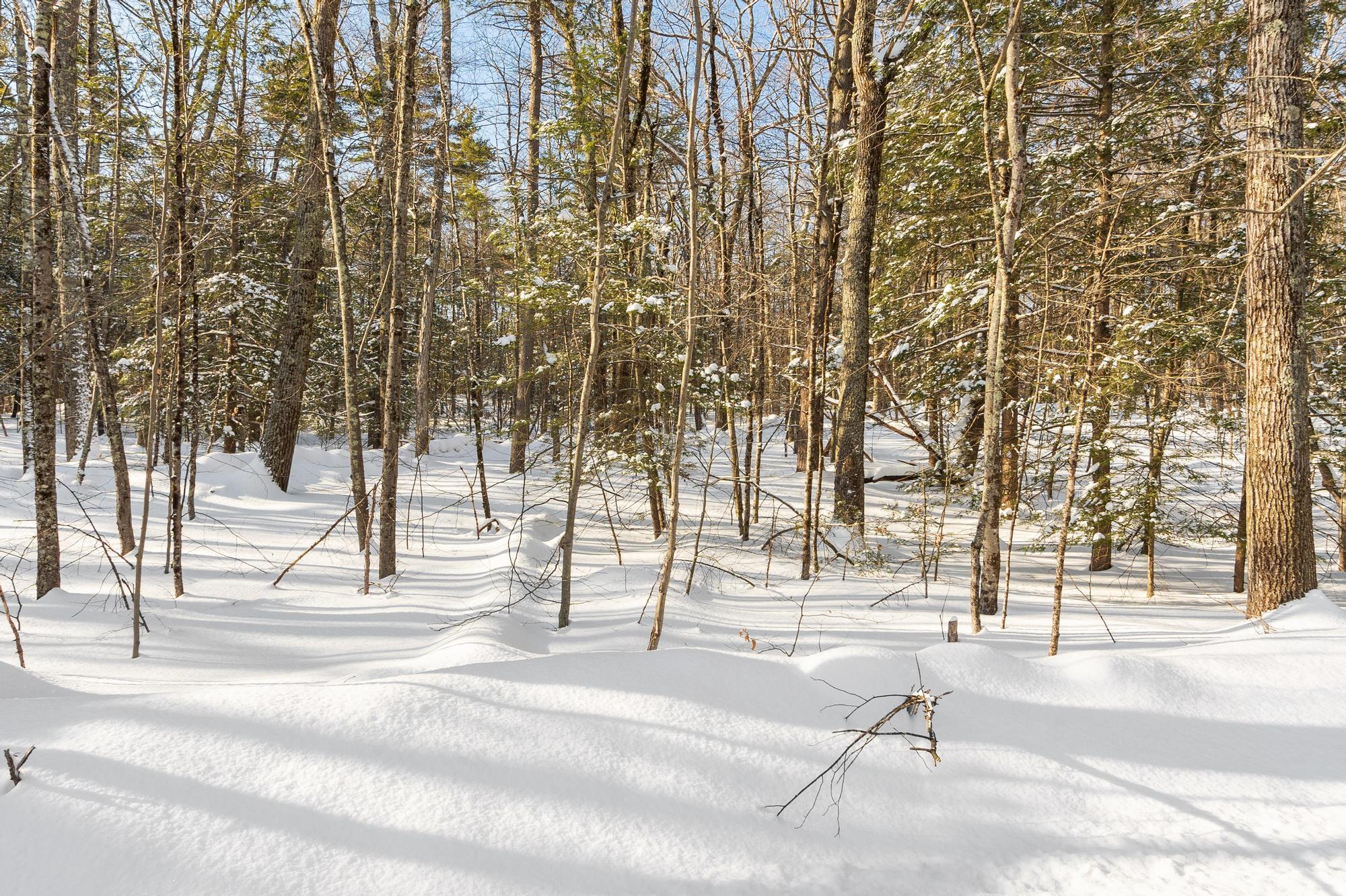 3 Kendall Hill Road, Unit 5563 Mont Vernon, NH 03057 - Photo 3 of 22