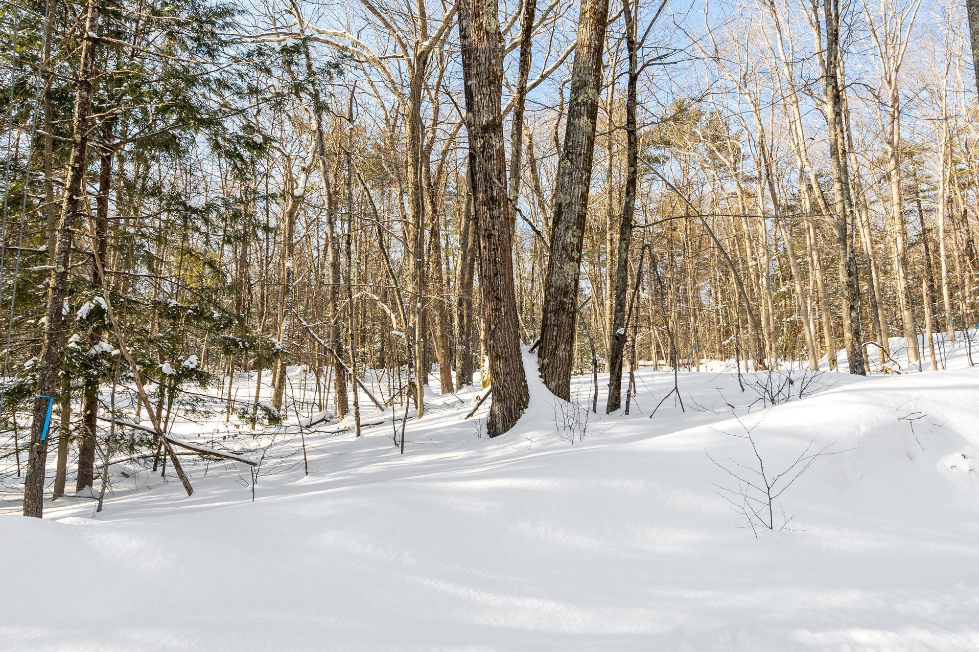 3 Kendall Hill Road, Unit 5563 Mont Vernon, NH 03057 - Photo 4 of 22