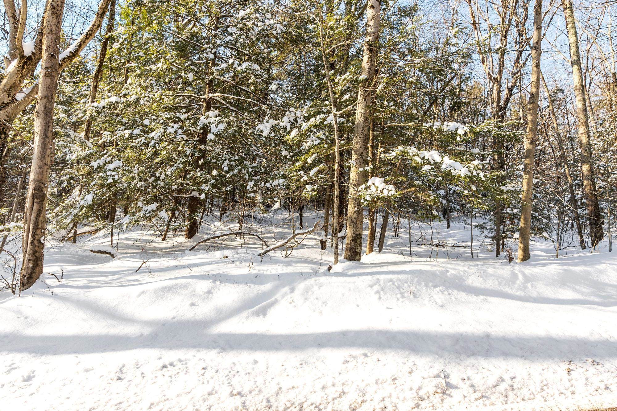 3 Kendall Hill Road, Unit 5563 Mont Vernon, NH 03057 - Photo 7 of 22