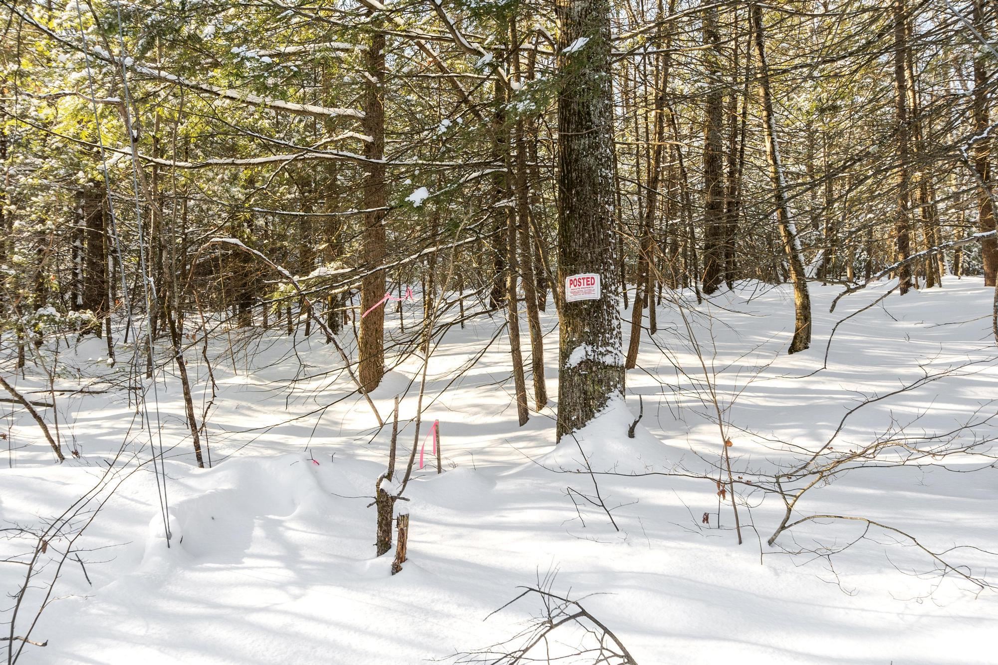 3 Kendall Hill Road, Unit 5563 Mont Vernon, NH 03057 - Photo 8 of 22