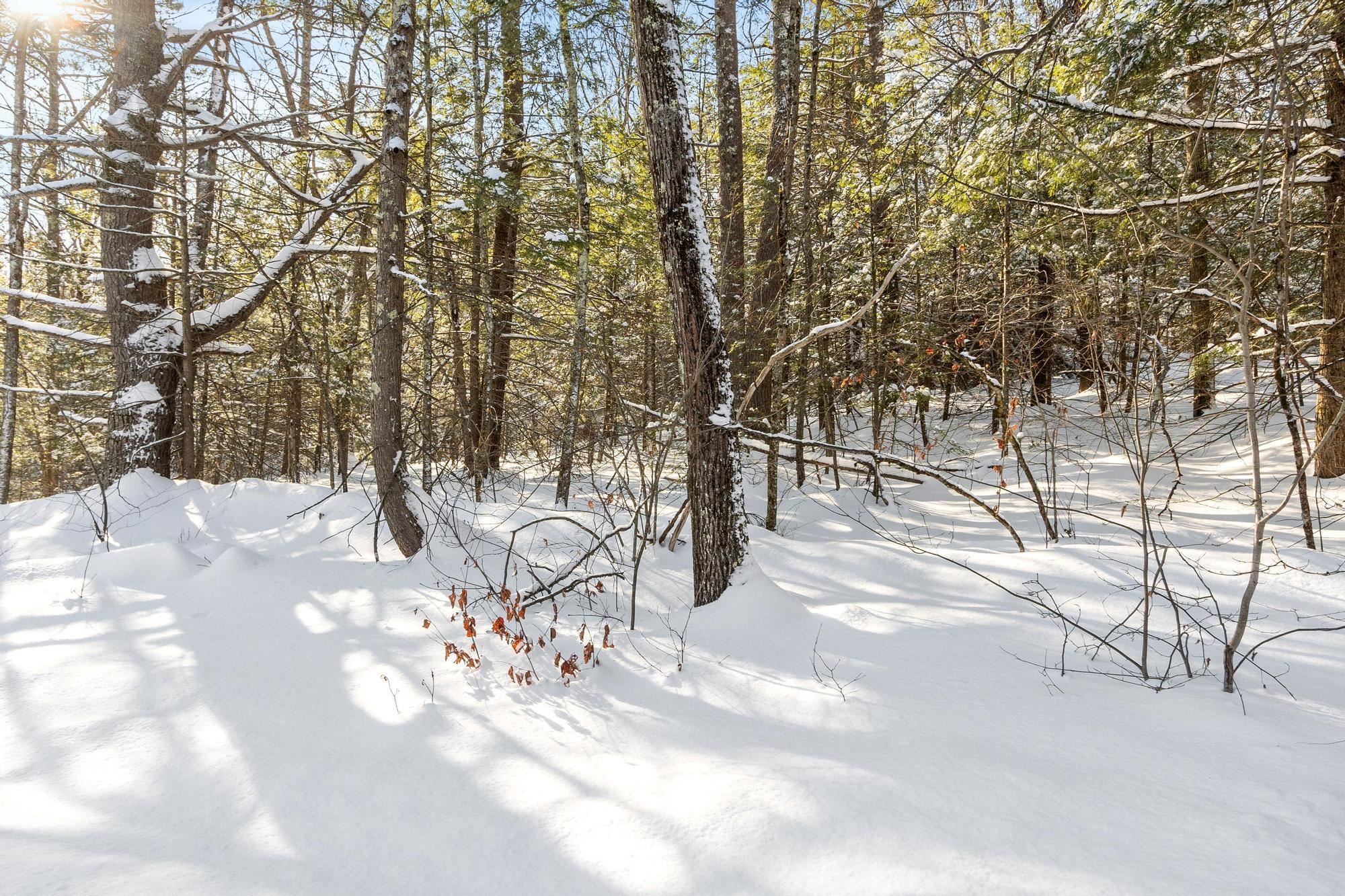 3 Kendall Hill Road, Unit 5563 Mont Vernon, NH 03057 - Photo 9 of 22