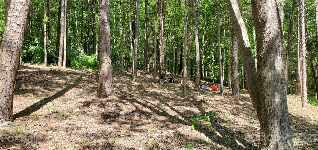 0 Foxridge Road Rock Hill, SC 29732 - Photo 22 of 25 Gallery Image 22