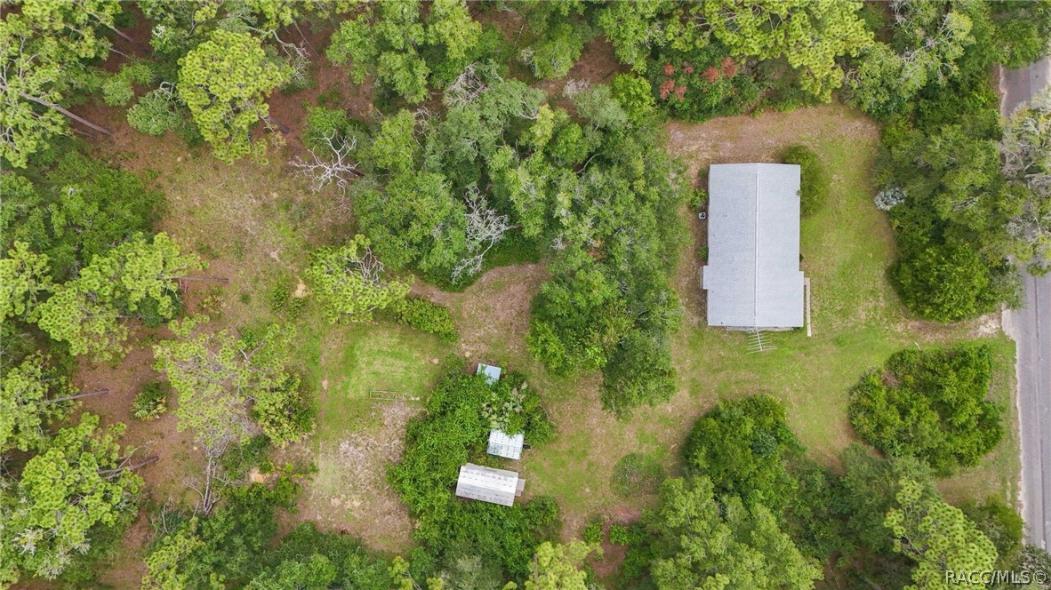 9955 South Forestline Avenue Inverness, FL 34452 - Photo 6 of 47