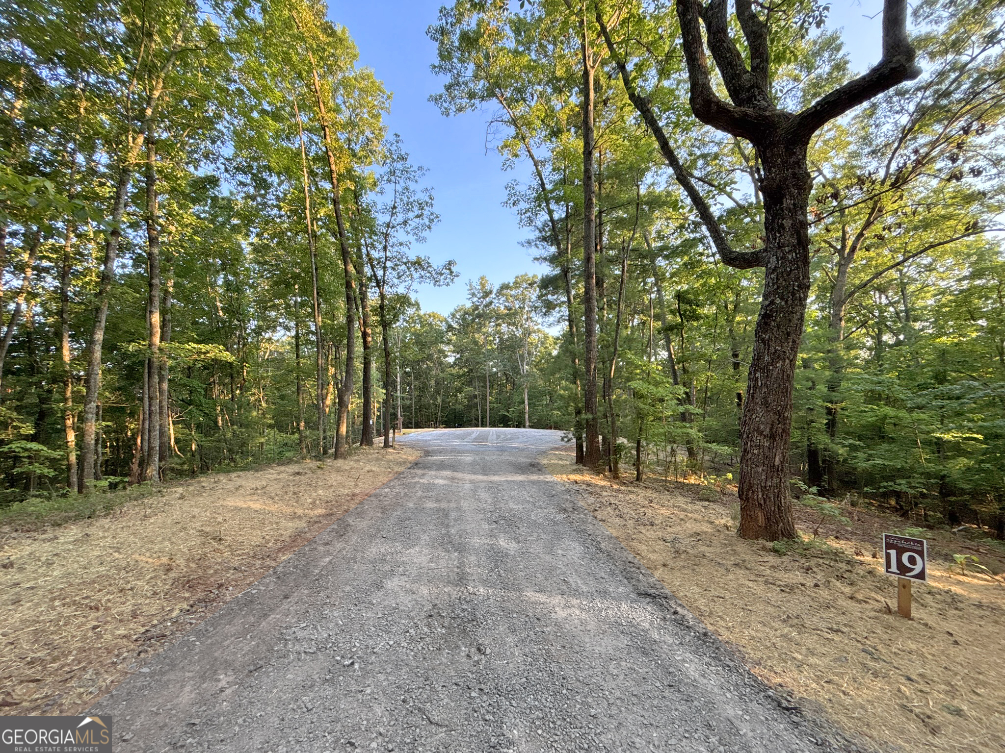 Lot 19 Mt Springer Road Ellijay, GA 30540 - Photo 30 of 32