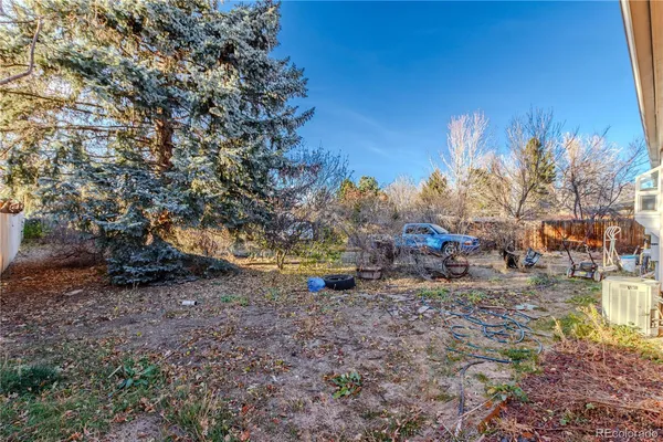 a view of a yard with a tree