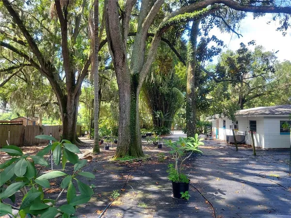a view of outdoor space with deck and tree