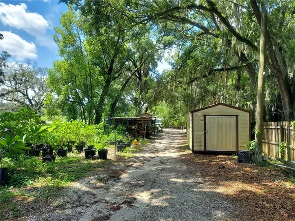 a view of a barn with large trees and a large tree