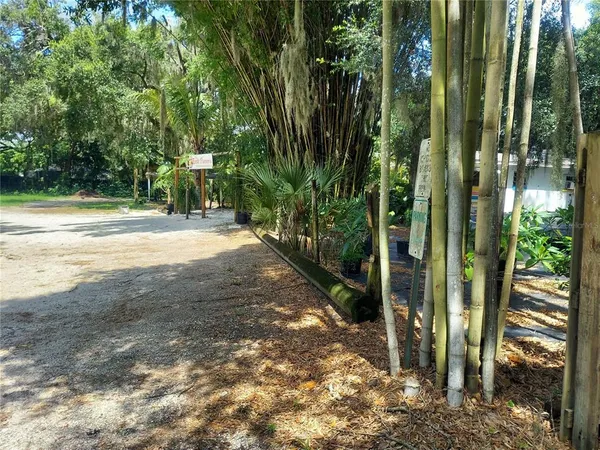 a view of a yard with plants and trees