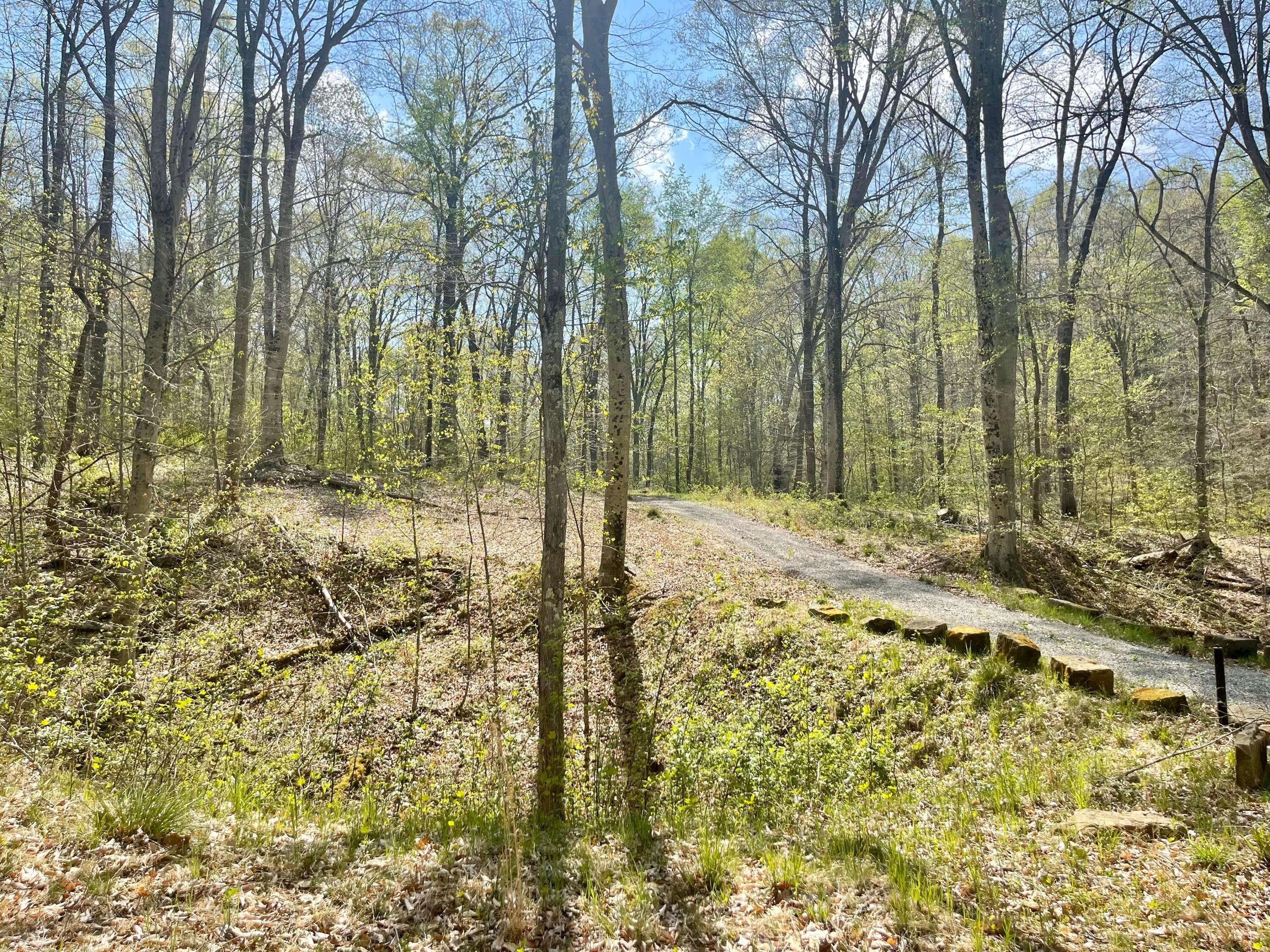 0 Dunlap Road, Rockbridge, Ohio