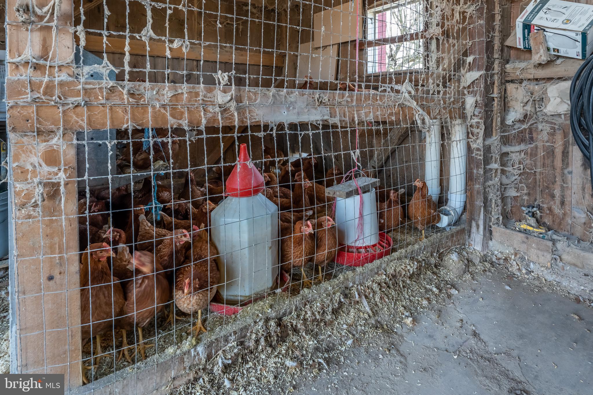 3013 Little Road Perkiomenville, PA 18074 - Photo 50 of 66 Chicken coop One of two