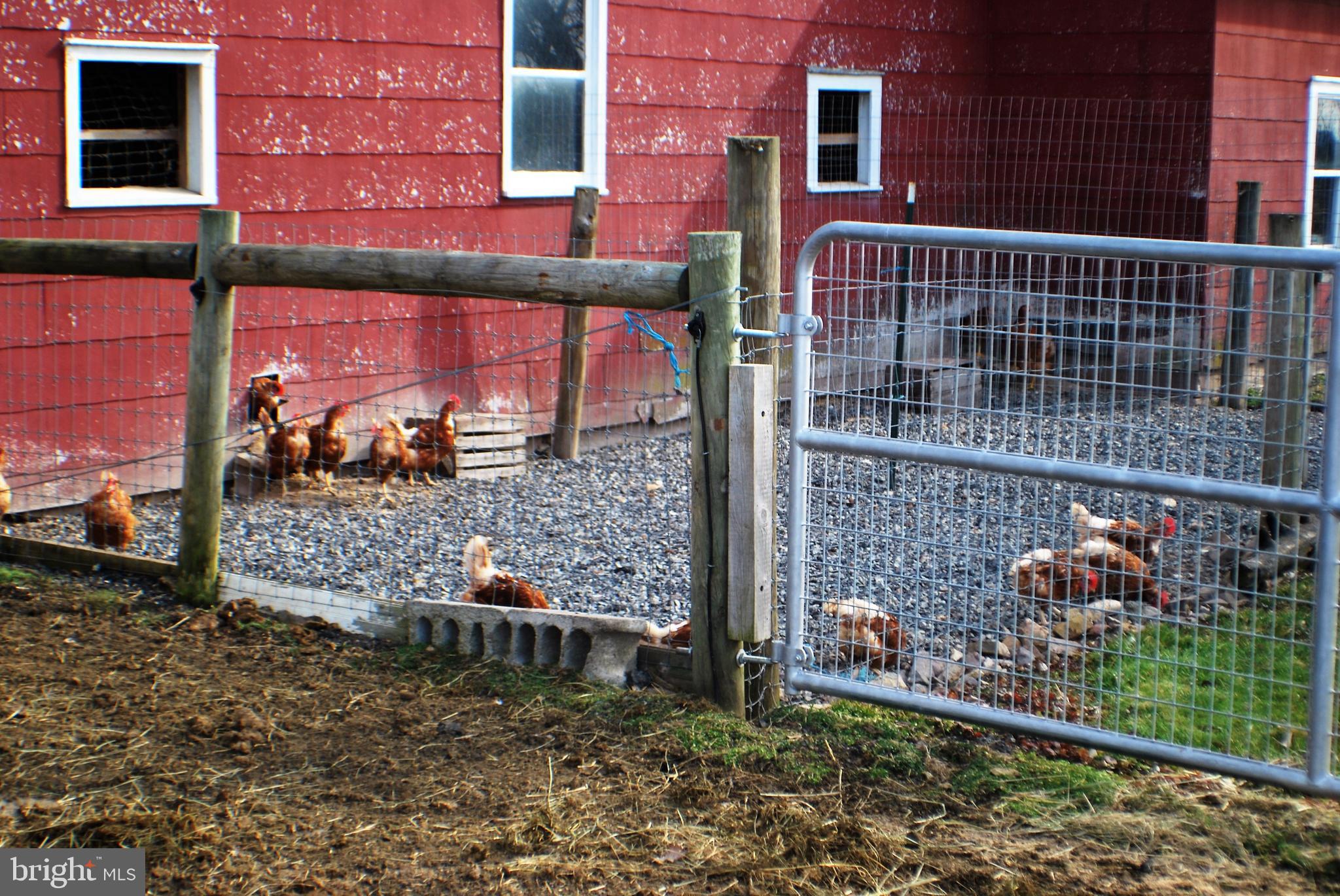 3013 Little Road Perkiomenville, PA 18074 - Photo 52 of 66 Chicken outside run area