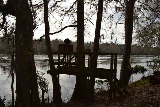 Lot 6-7 St Marks Rise Rd Street Crawfordville, FL 32327 - Photo 2 of 4 Gallery Image 2