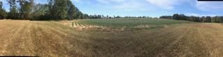0 County Road Ashford, AL 36312 - Photo 7 of 13