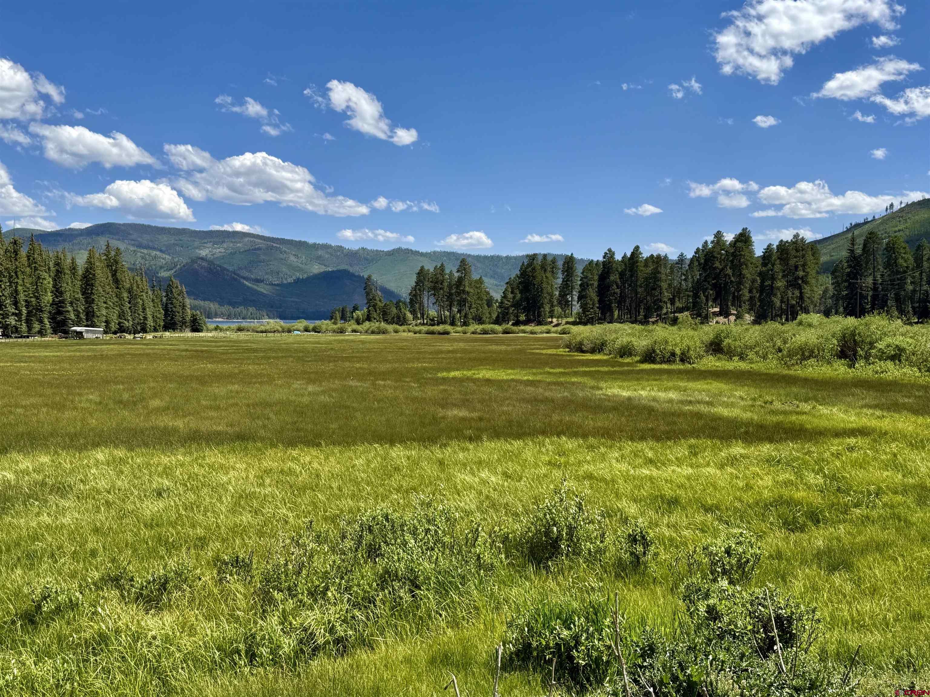 156 Golden Forest Road Bayfield, CO 81122 - Photo 6 of 23