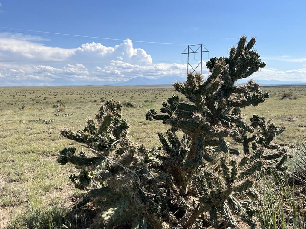 103 County Road 103 Rye, CO 81069 - Photo 3 of 16