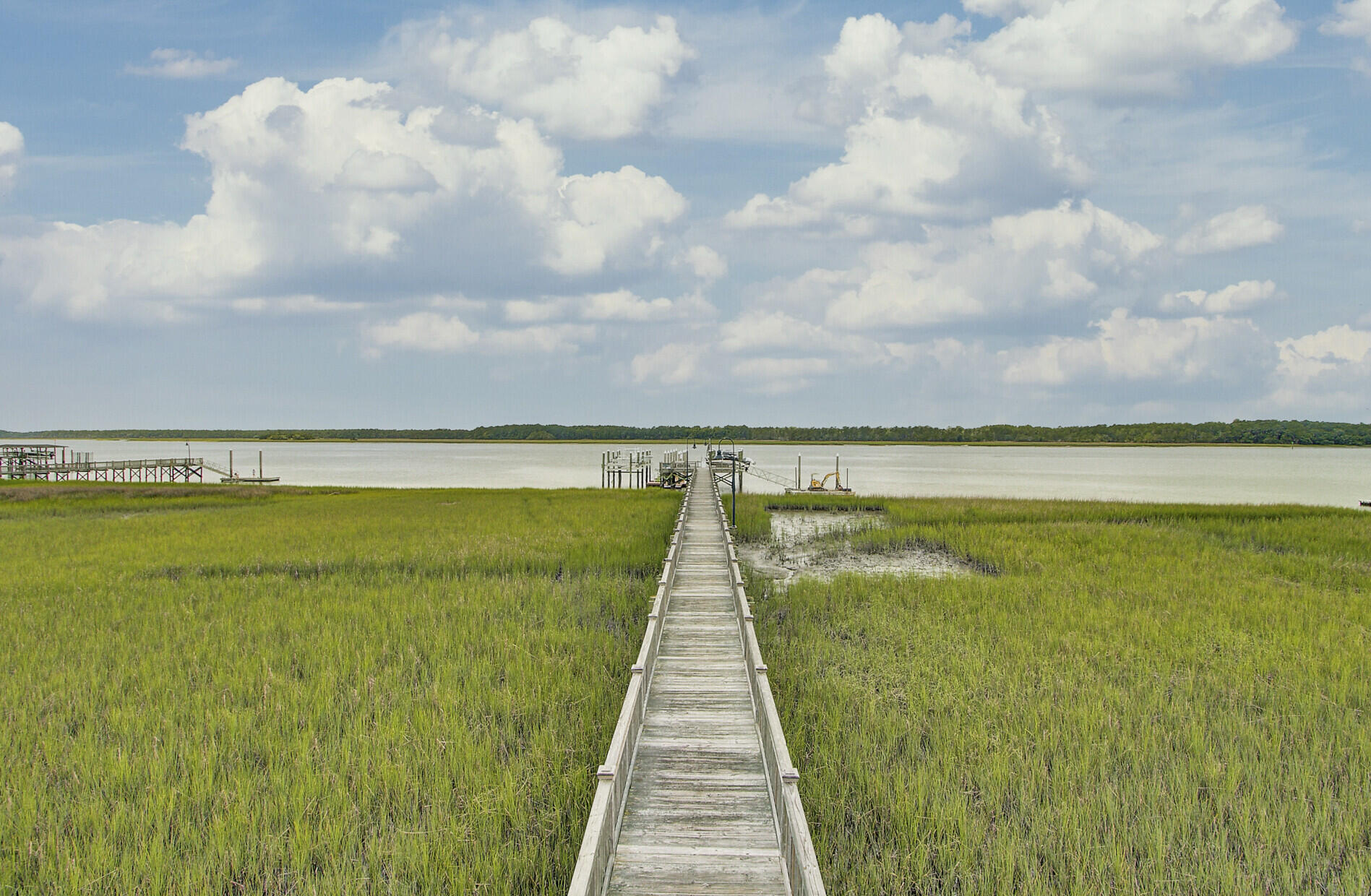 2197 Hartfords Bluff Circle Mount Pleasant, SC 29466 - Photo 43 of 52 Community dock