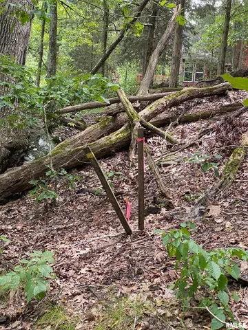 $45,000 | Parrish Ridge Lane, Goreville, IL 62939