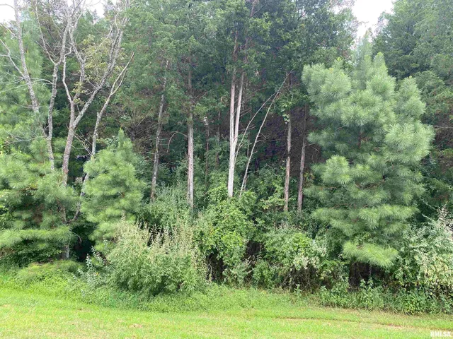 $45,000 | Parrish Ridge Lane, Goreville, IL 62939