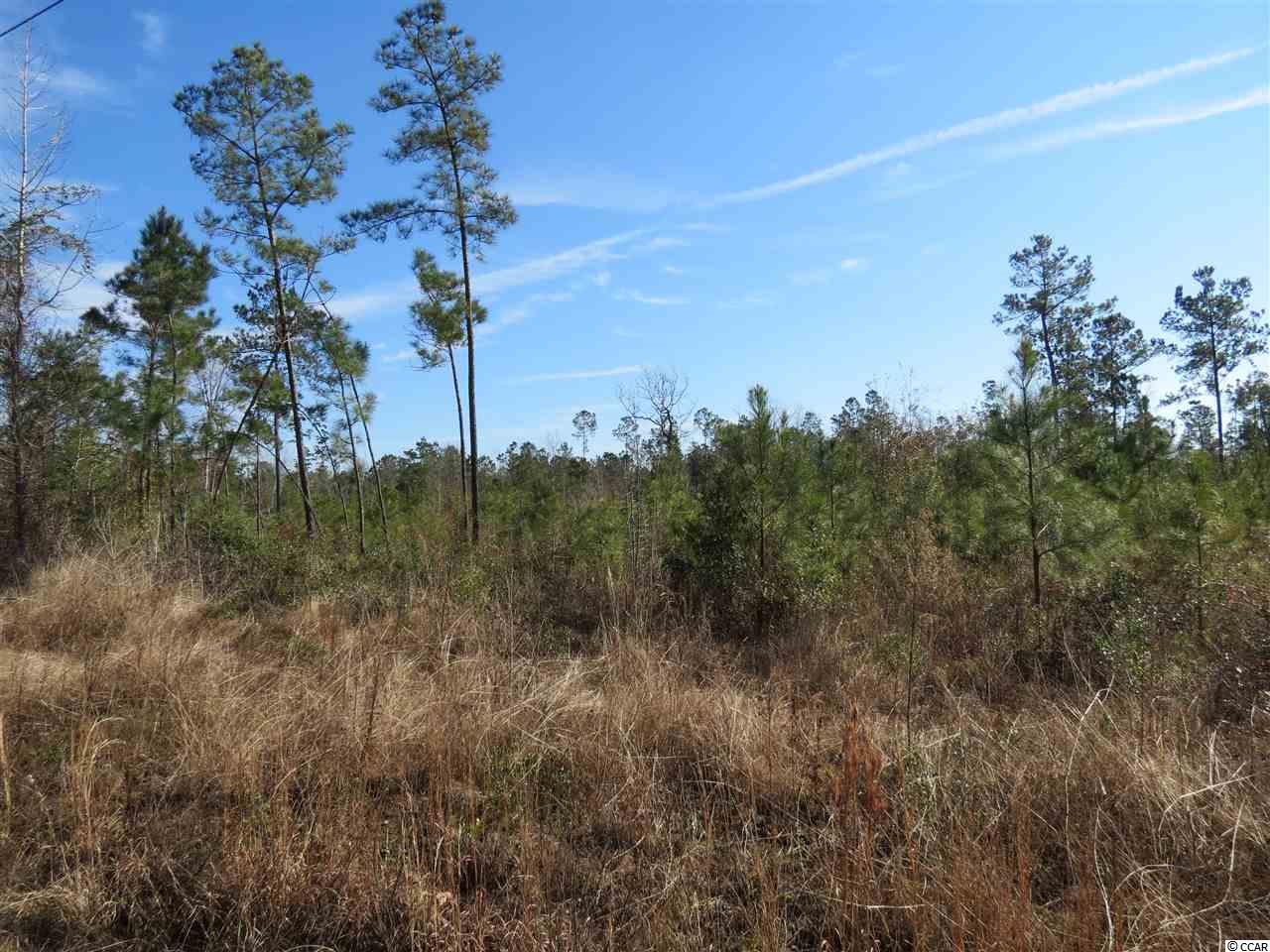 3 Choppee Road Georgetown, SC 29440 - Photo 2 of 9
