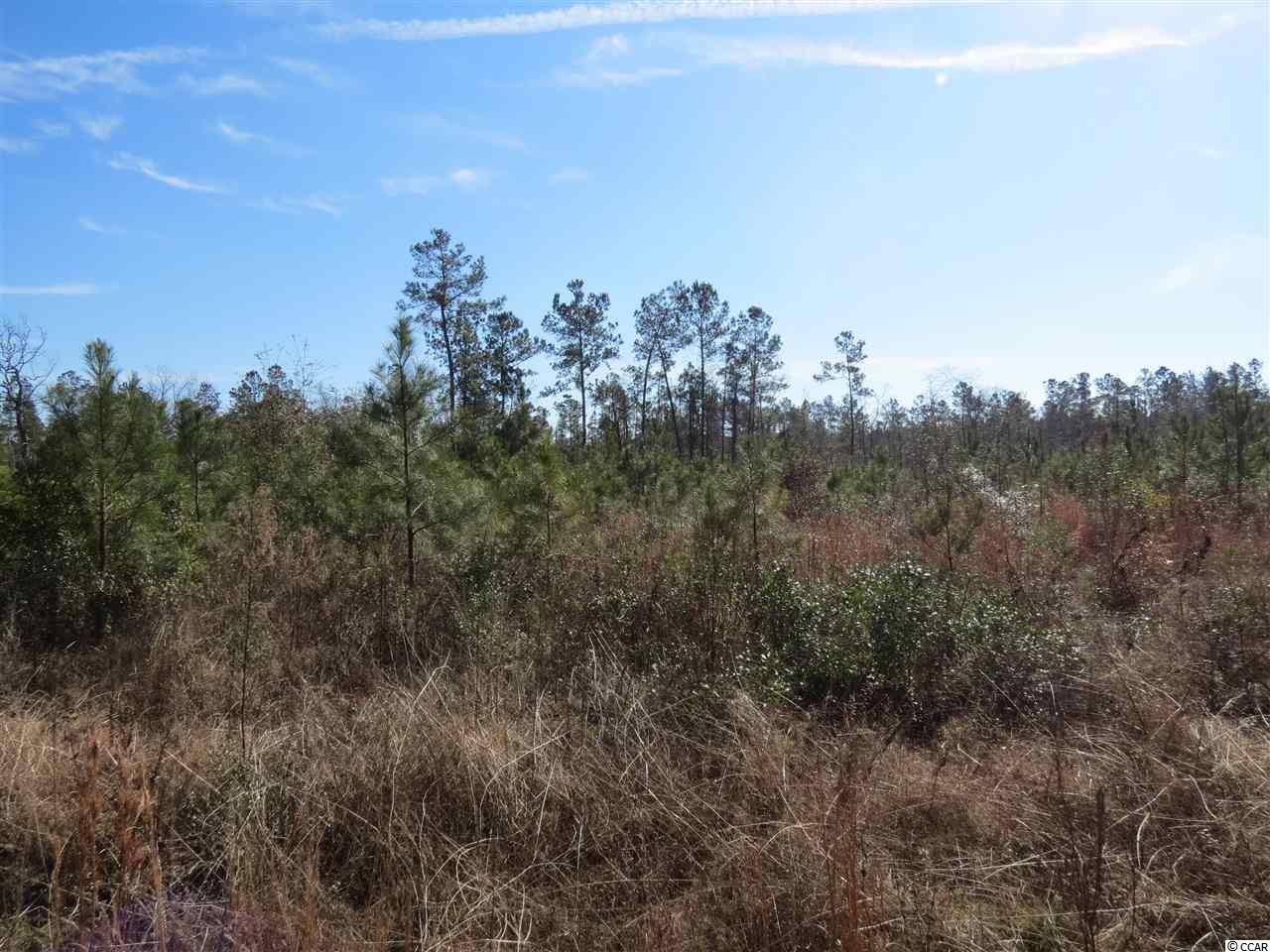 3 Choppee Road Georgetown, SC 29440 - Photo 3 of 9