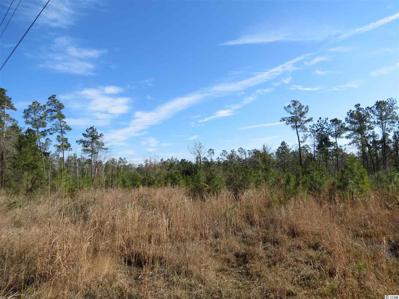 3 Choppee Road Georgetown, SC 29440 - Photo 4 of 9