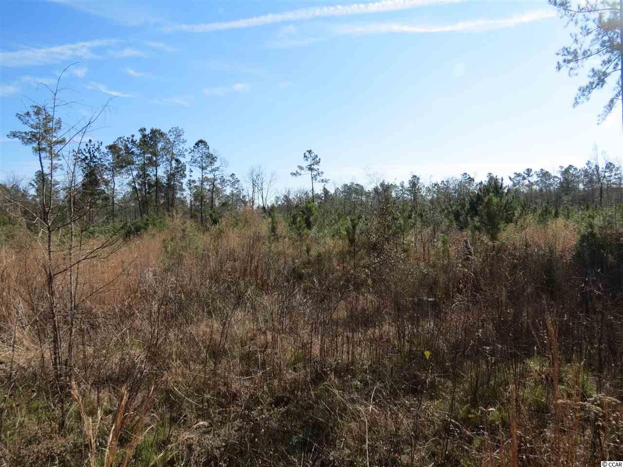 3 Choppee Road Georgetown, SC 29440 - Photo 6 of 9