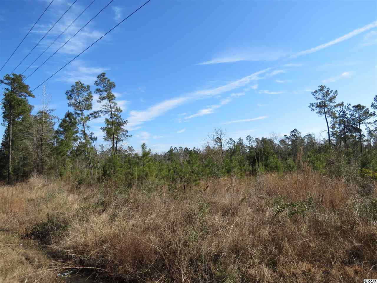3 Choppee Road Georgetown, SC 29440 - Photo 8 of 9