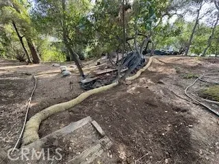 a view of a yard with plants and trees