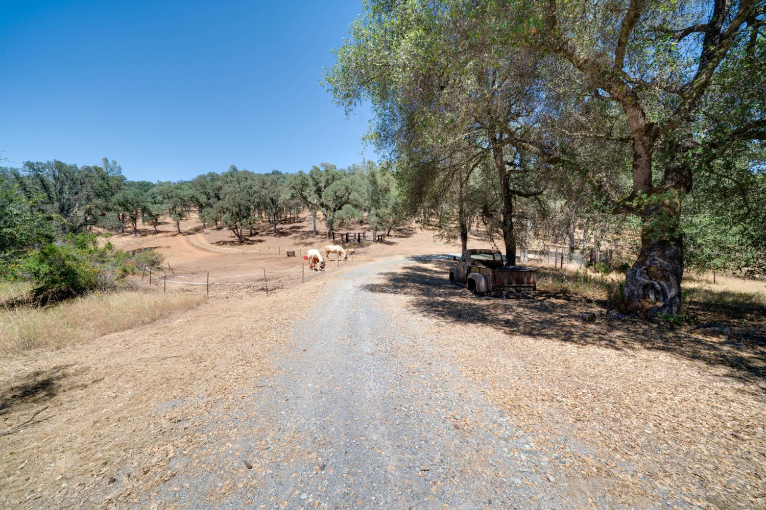 7071 Bayne Road Placerville, CA 95667 - Photo 52 of 61