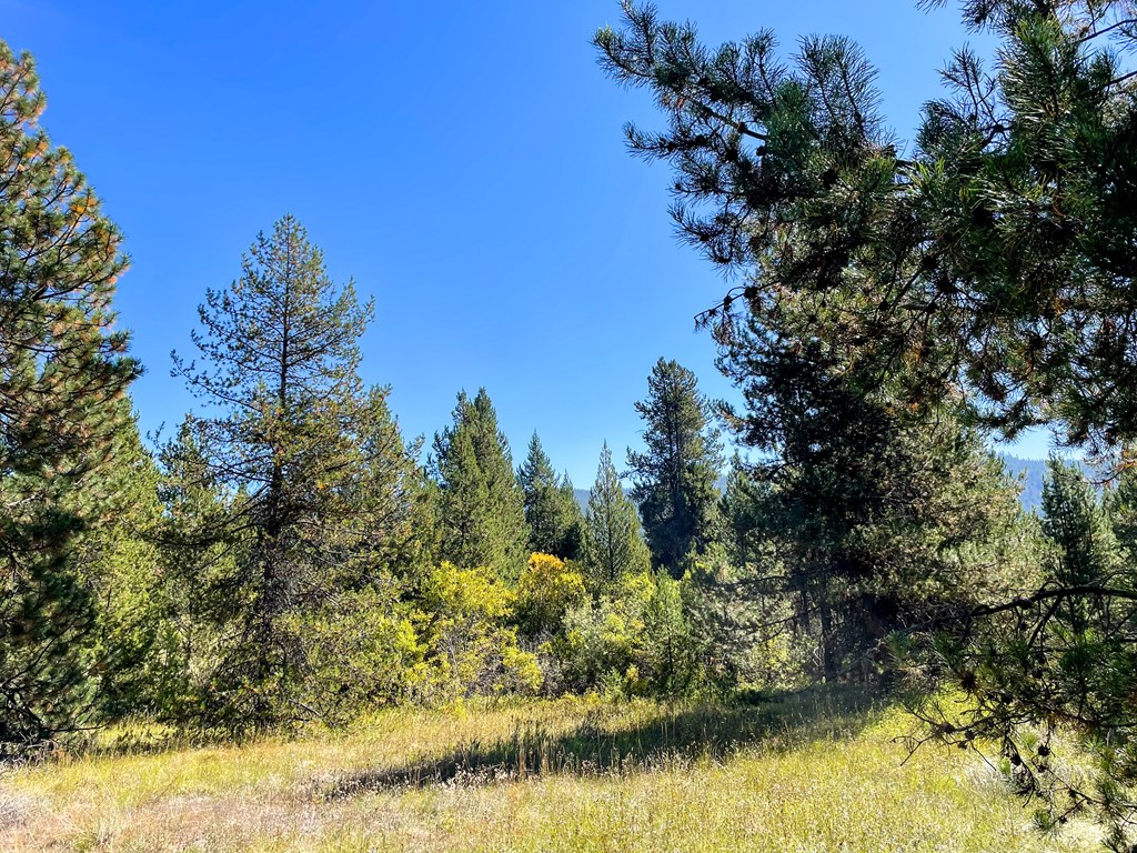 1-1 Horsethief Road Cascade, ID 83611 - Photo 10 of 13
