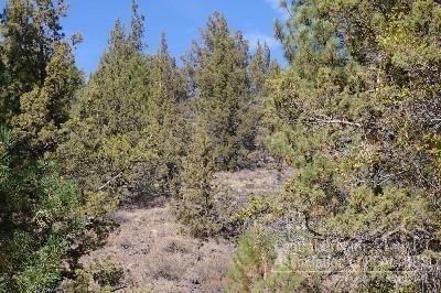 0 Southeast Thomas Road Prineville, OR 97754 - Photo 10 of 23 Additional Photo
