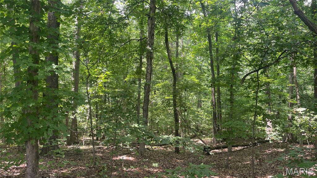 920 South Poplar Camp Road Makanda, IL 62958 - Photo 23 of 53
