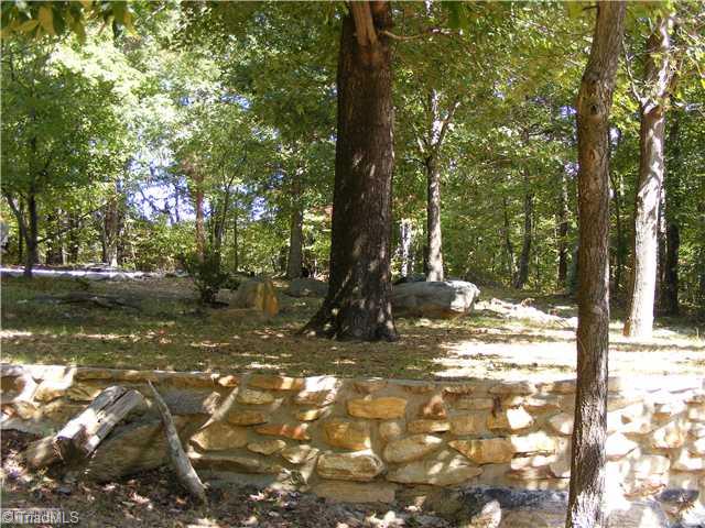 1147 Saura Road Germanton, NC 27019 - Photo 7 of 16 Land/Lot.