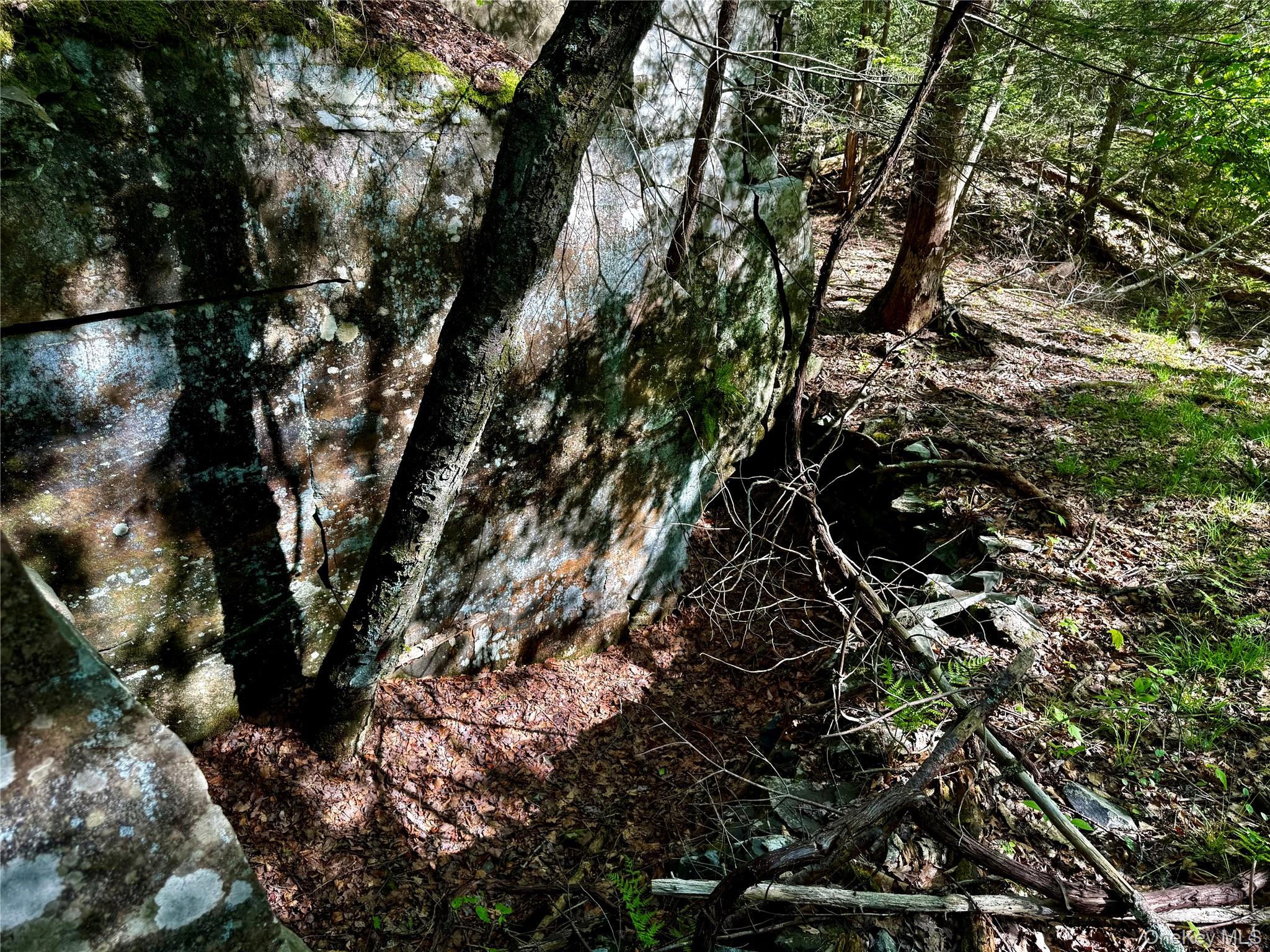101 Stone Road Hurley, NY 12491 - Photo 19 of 24 a view of a tree