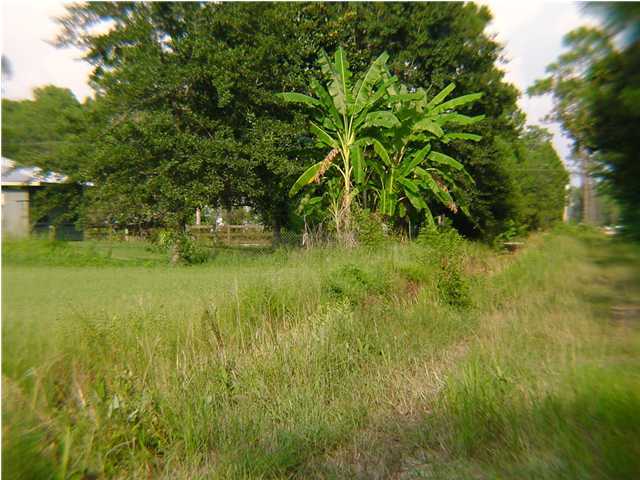 13 South 7th Street Santa Rosa Beach, FL 32459 - Photo 2 of 2 a view of yard with green space