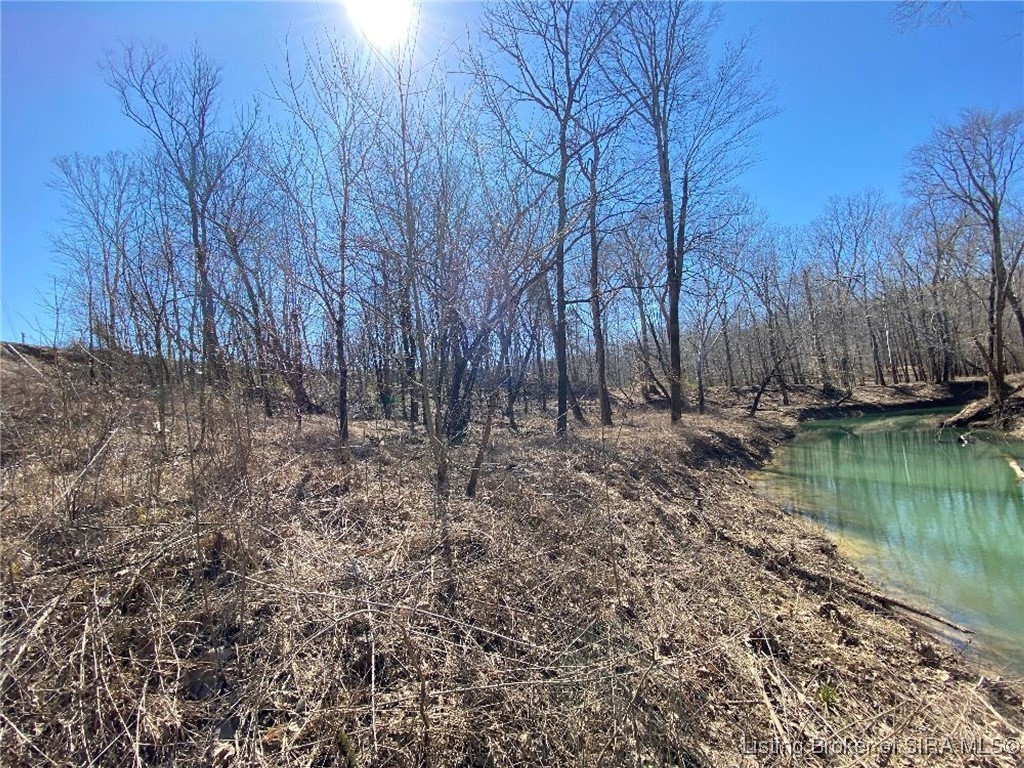 14205 South Alton Road Leavenworth, IN 47137 - Photo 19 of 41