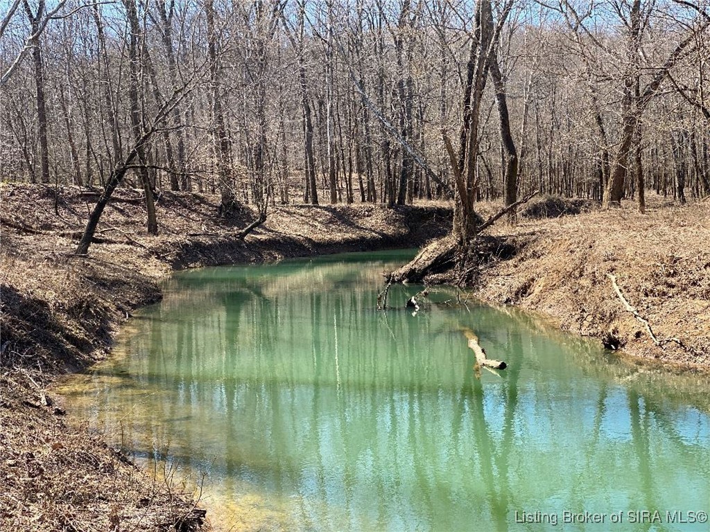 14205 South Alton Road Leavenworth, IN 47137 - Photo 9 of 41