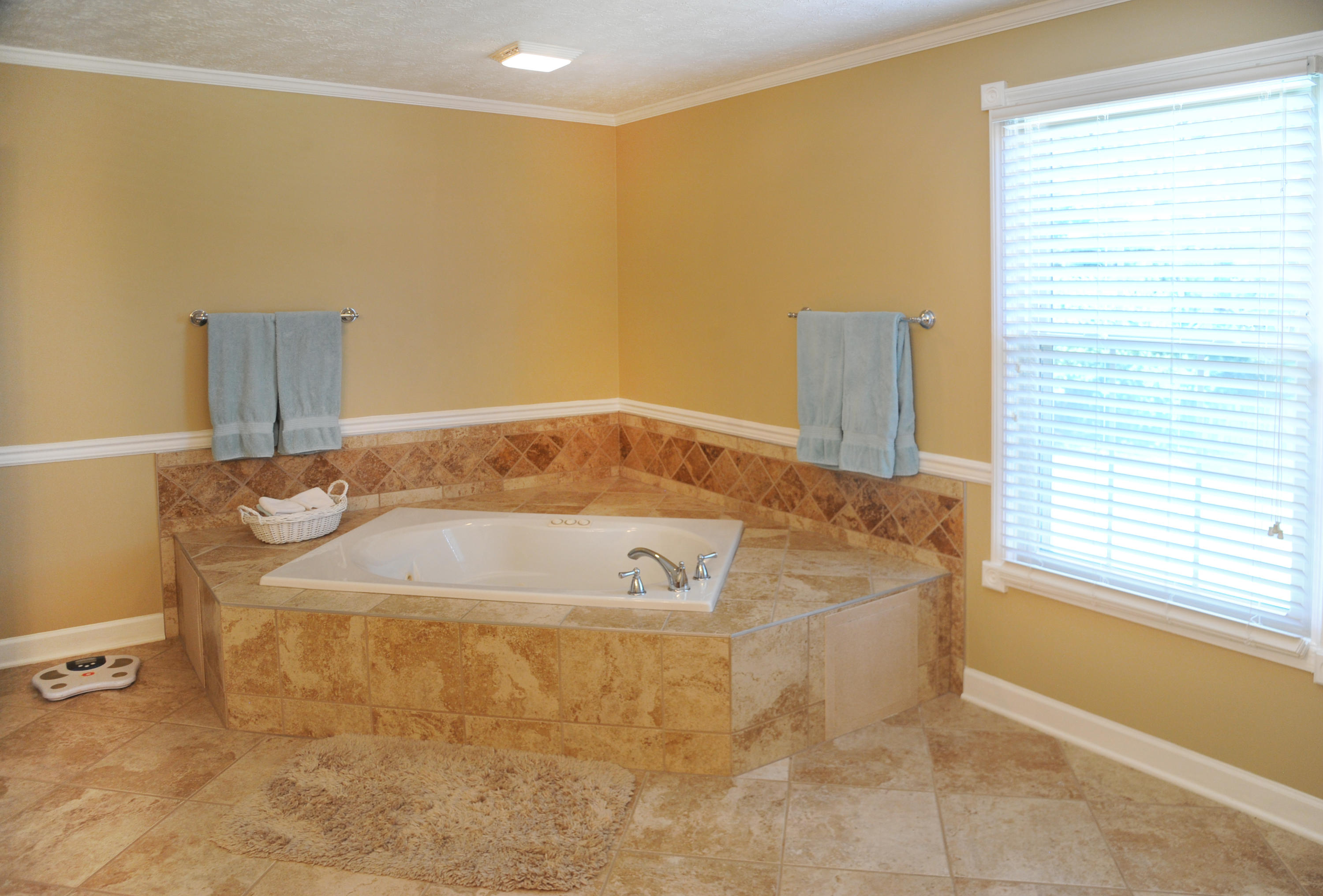 6912 Resolute Road Knoxville, TN 37918 - Photo 11 of 27 SNC_6546