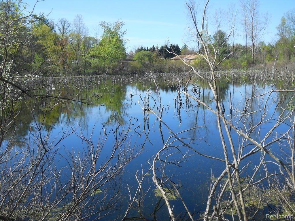 3321 Bishop Road Dryden, MI 48428 - Photo 20 of 27 Swamp as seen walking the path to back of property. Path separates 2 small bodies of water, this being one.