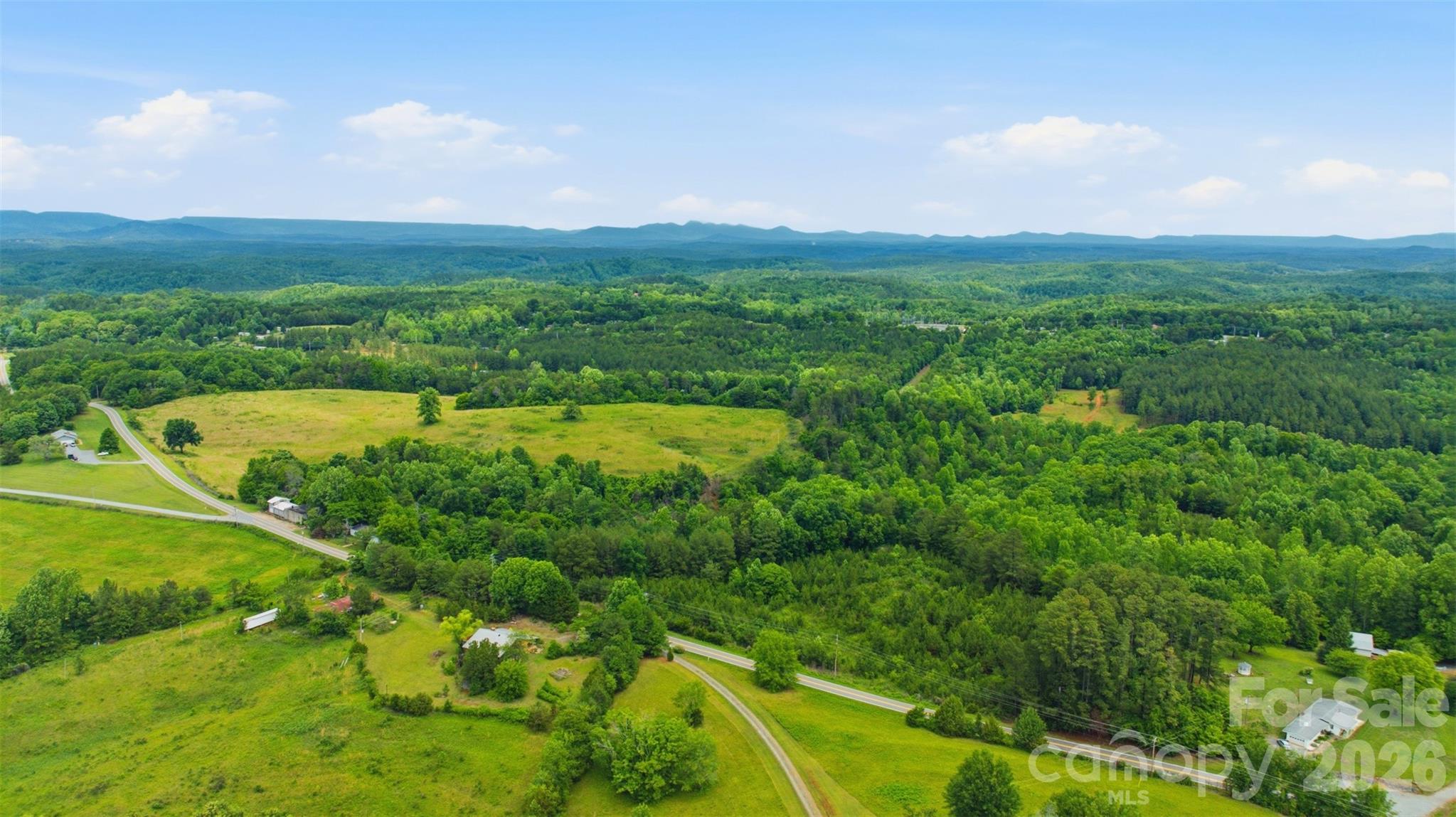 536 Pea Ridge Road Mill Spring, NC 28756 - Photo 3 of 9