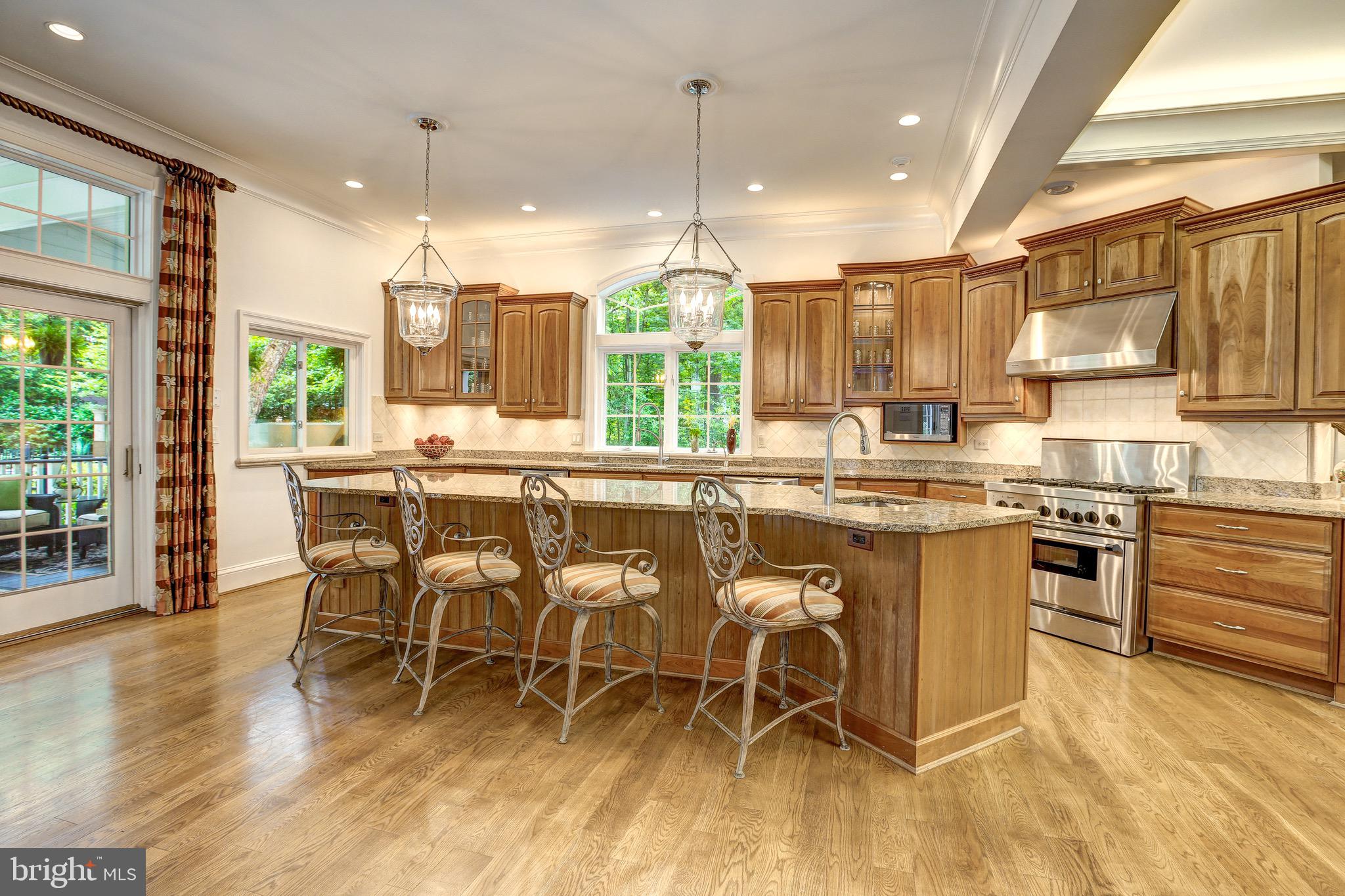 8921 Burdette Road Bethesda, MD 20817 - Photo 10 of 49 Hefty Exotic Stone Island