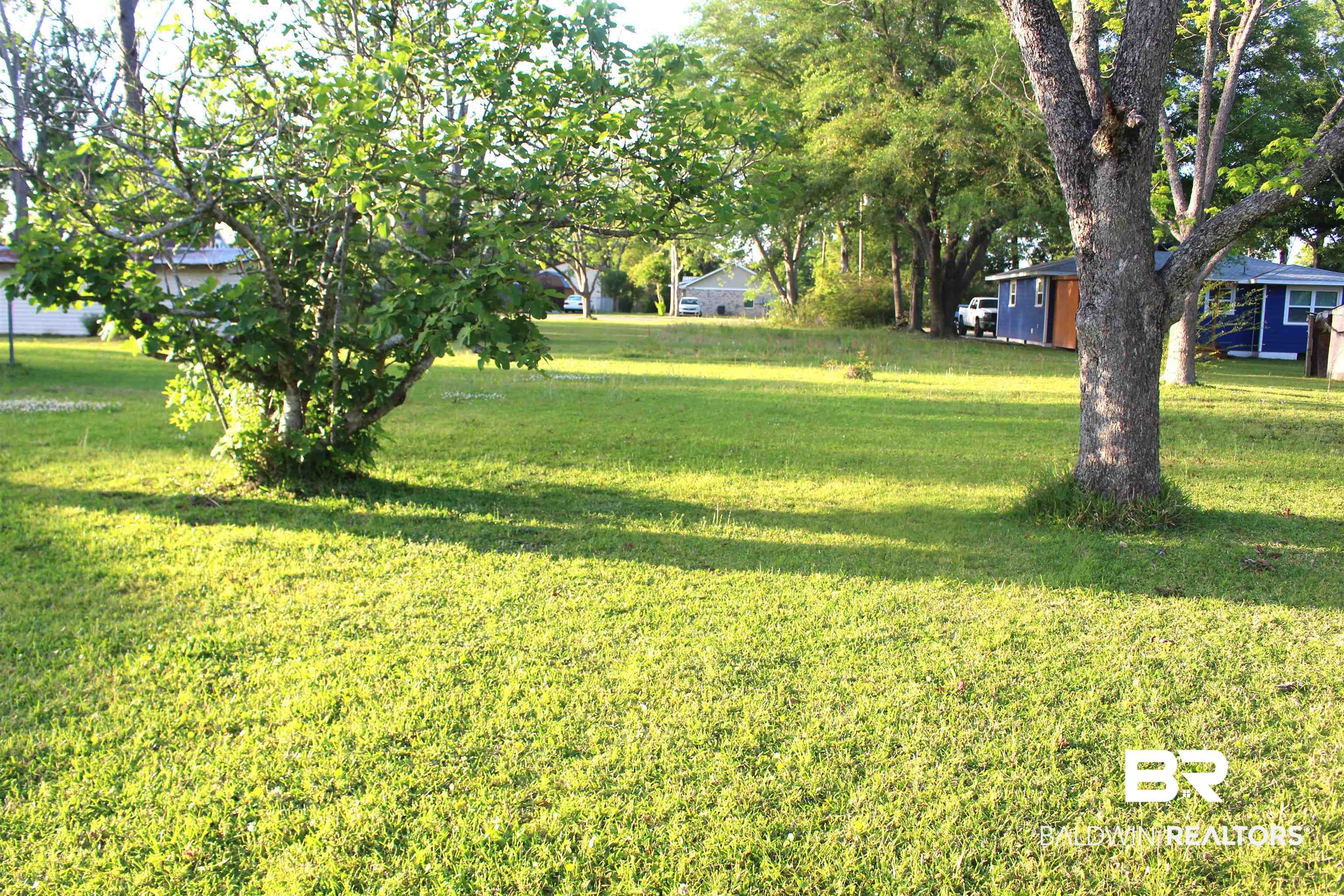Chestnut Street Elberta, AL 36530 - Photo 3 of 3