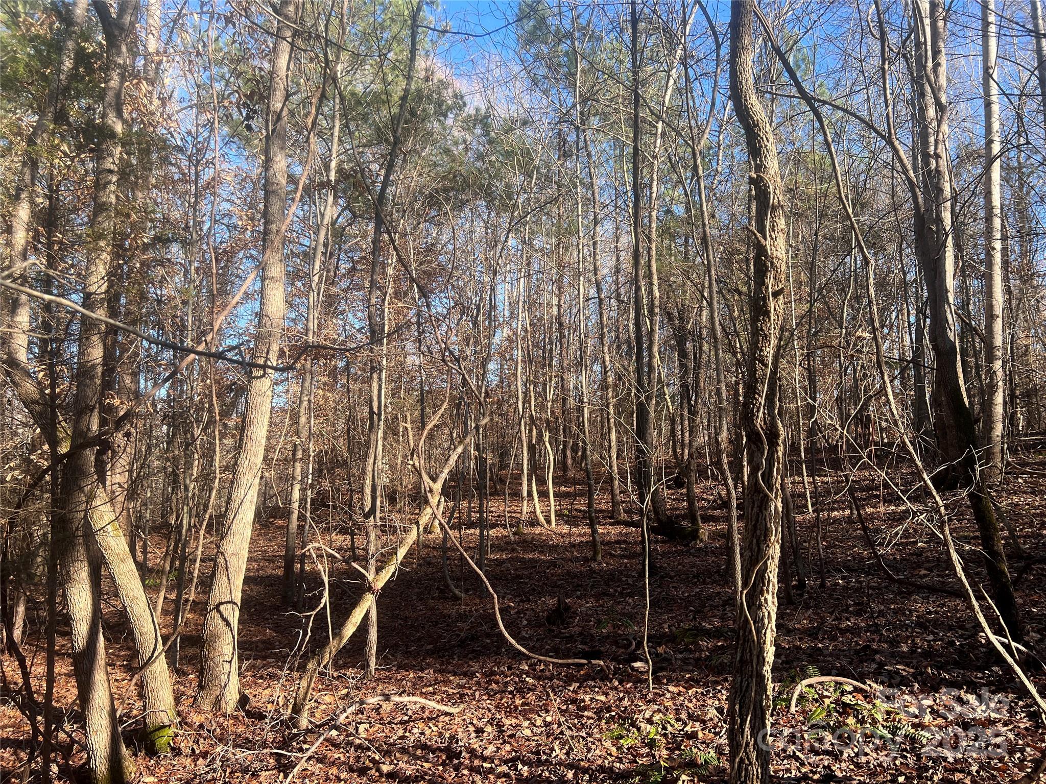 259 Sam Wilson Road Union, SC 29379 - Photo 13 of 35